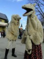 /album/fotogaleria/a1278899-838703392822287-711141227-o-jpg/